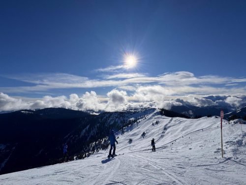 WhatsApp-Image-2026-02-08-at-16.17.10