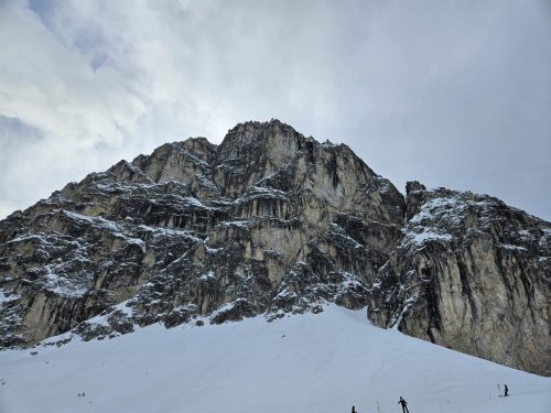 WhatsApp-Image-2026-02-12-at-14.13.05