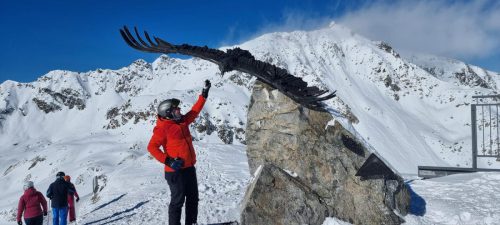 WhatsApp-Image-2026-02-13-at-13.57.17