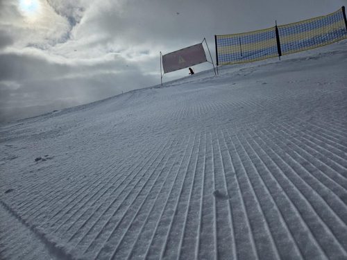 WhatsApp-Image-2026-02-13-at-17.08.30