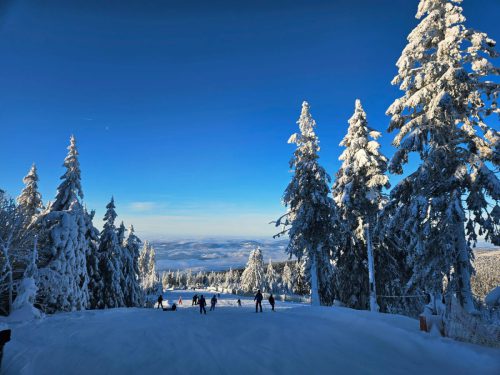 WhatsApp-Image-2026-01-11-at-15.42.25t