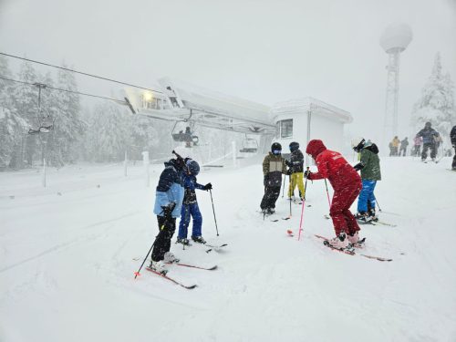 WhatsApp-Image-2026-01-11-at-15.42.27