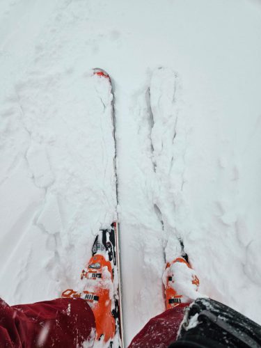 WhatsApp-Image-2026-01-11-at-15.42.28s