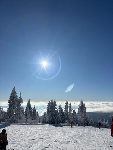 WhatsApp-Image-2026-01-11-at-16.29.09