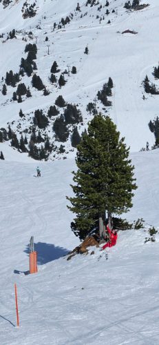 Screenshot 20260308 112819 Gallery